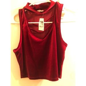 Charlotte Russe red velour crop top